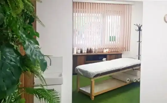 Phoenix Therapy — снимка на обекта