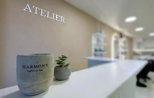 TS’s Atelier — снимка на обекта